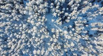 Зимний лес с высоты птичьего полета! АВТОР: Вальнер Илья