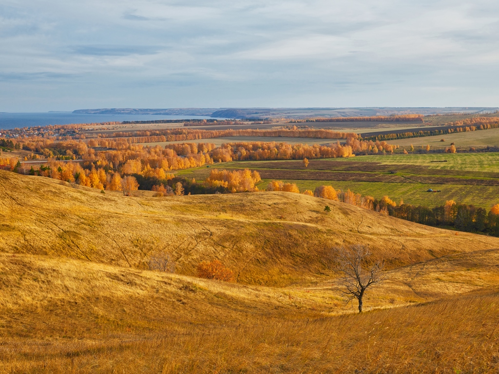 Холмы осенью