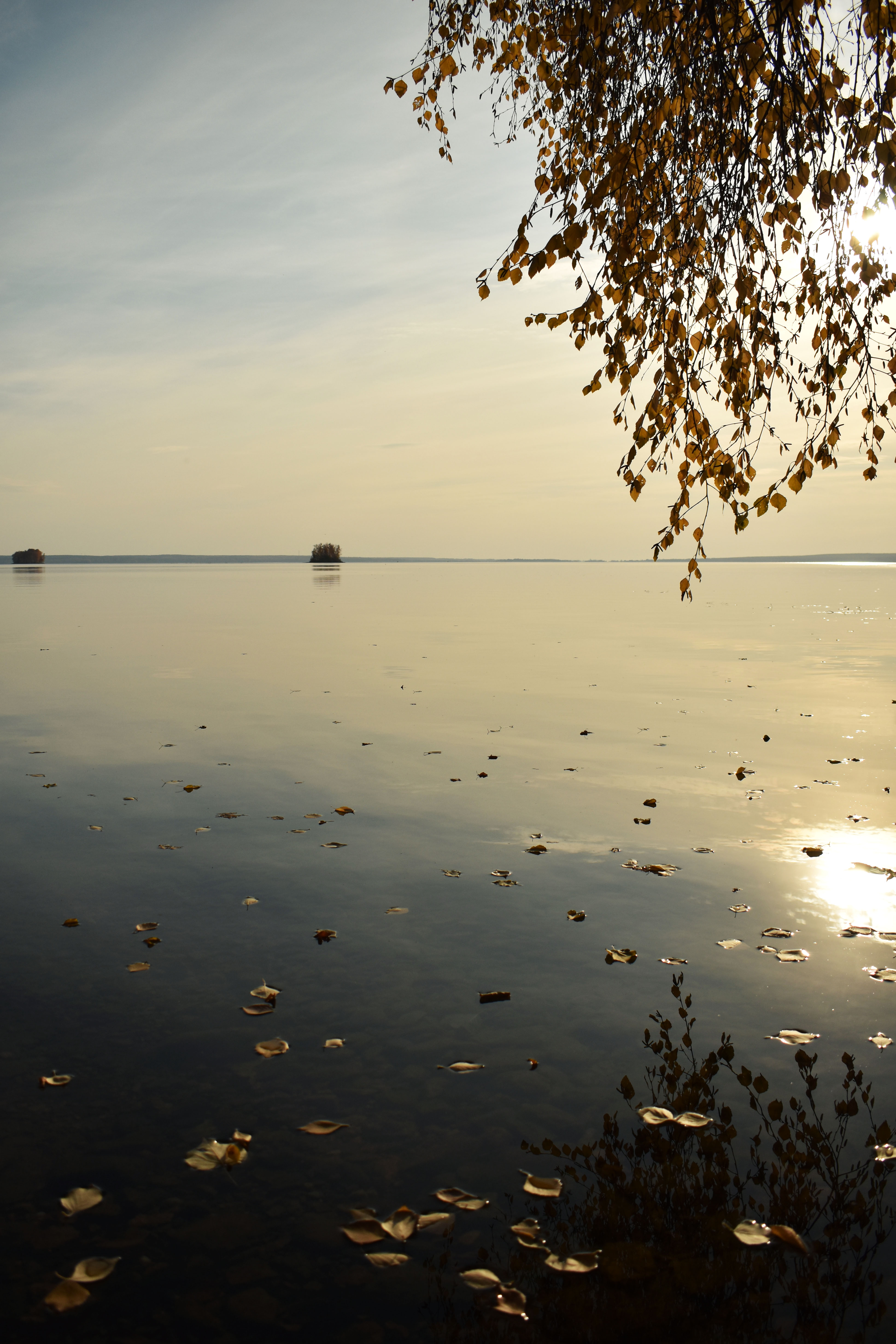 Погода на озере увильды. Озеро Увильды. Озеро Увильды Исток. Птицы озера Увильды. Озеро Увильды Челябинская область осень.