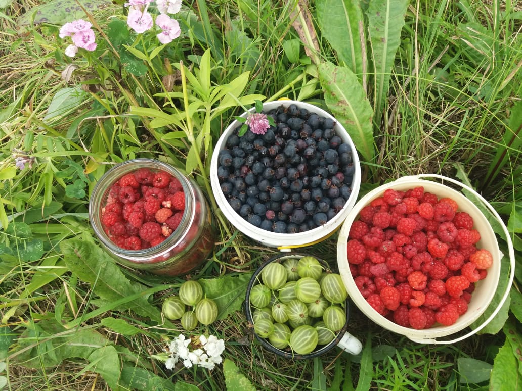 Вкус Лета Картинки