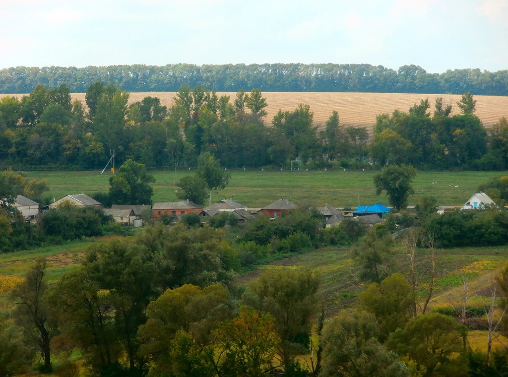 Поселок барсуки фото