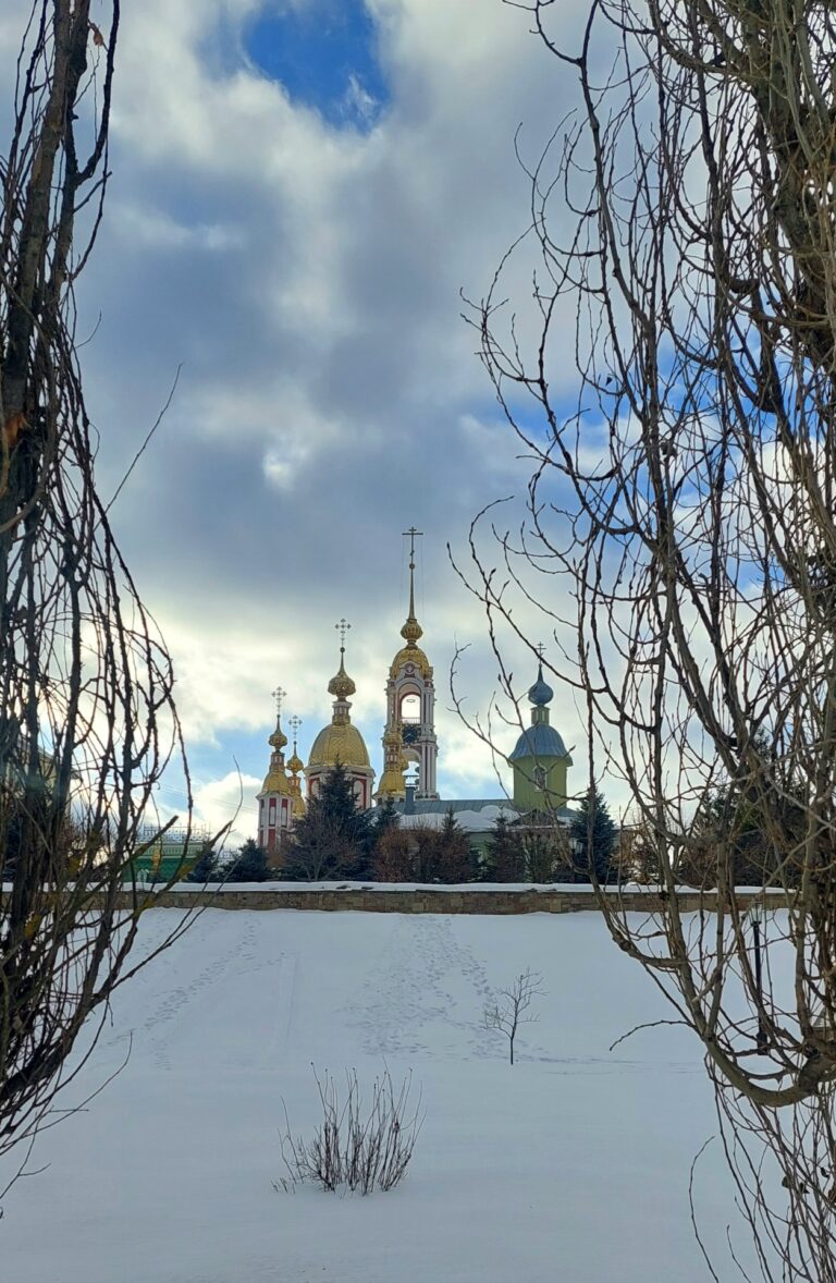 Фотография "Зимняя графика"